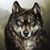 Jean-louis Troise's profile image