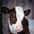 Mary Summers's profile image