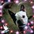 Lesa Renee's profile image
