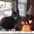 Jo Ellen Rogers's profile image