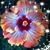 Kathy Poarch Niemcewicz's profile image