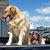 Lilly Molly's profile image