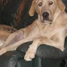 Sara J.'s profile image