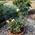 Linda Reimer's profile image