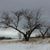 Debbie Dyer Ashby's profile image