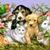 Susie Kleusch Parkhurst's profile image