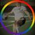 Karen Shutt Zeoli's profile image