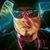 Giovanni Lucianni's profile image