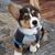 Patty Caron's profile image