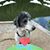 Vicki Lammert's profile image
