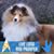 Linda Kepner's profile image