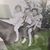 Jerry Crowe's profile image