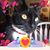 Dawn Sabo's profile image