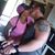 Brandy Tarpinian's profile image