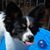 Tammie Jo's profile image