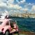 Carmenmar Puentes's profile image