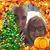 Janice Richards Karczewski's profile image