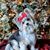 Kerri K. Walker's profile image