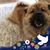 Alexander Chow's profile image
