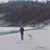 Denise Forste's profile image