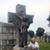 Lori M. Barrett's profile image