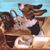 Pete Gregory's profile image