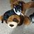 LaNeta Locke's profile image