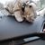 Kimberly Williams's profile image