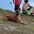 Tim Baire's profile image