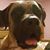 Jeniffer McCumber's profile image