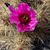 Anita G Koch's profile image