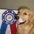 Susie Saunders's profile image