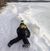 Rob Lizotte's profile image