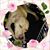 Tanisha Washington's profile image