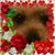 Kathleen M Anderson's profile image