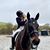 Jamie Pestana's profile image