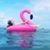 Christine Colavita Hawn's profile image