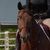 Carish Stanford's profile image