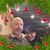 Lisa Mary Kreis's profile image