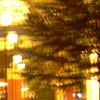 sunny l.'s profile image