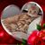 Elisa Griscom's profile image