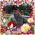 Sharon Whisner's profile image
