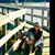 Amy Sanders McWhirter's profile image