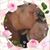 Carleen Maynard's profile image