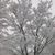 Robin Silveroli Slocum's profile image