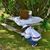 Beth Colangelo Miller's profile image
