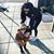 Stephani Nunez's profile image