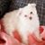 Judy Fuller's profile image