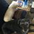 Carol-Lynn Bower's profile image
