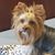 Carmen Brisko's profile image